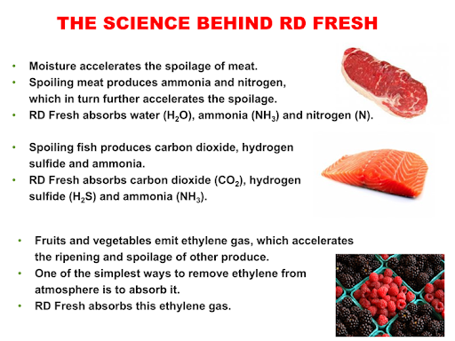 Professional Dry Aging Steak Cooler